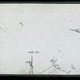 Image for article titled The Rocketeer Who Became a 19th Century Obsession